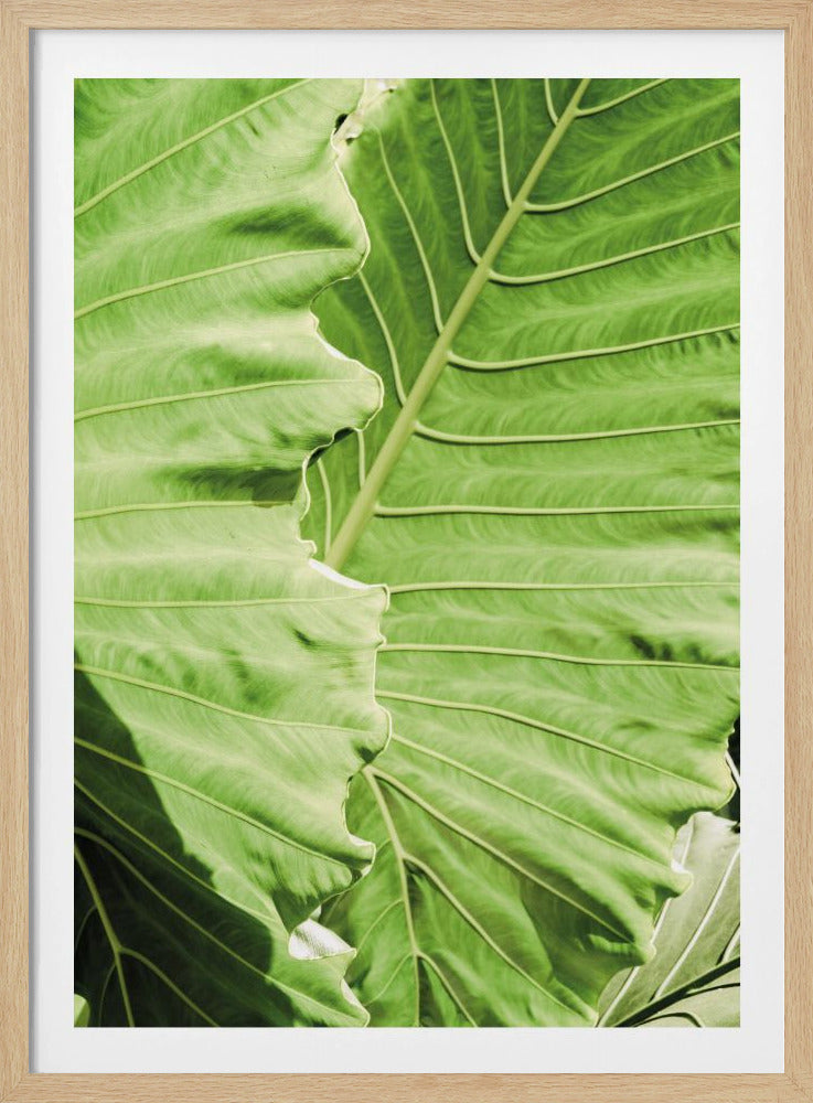 Groene golven | Poster