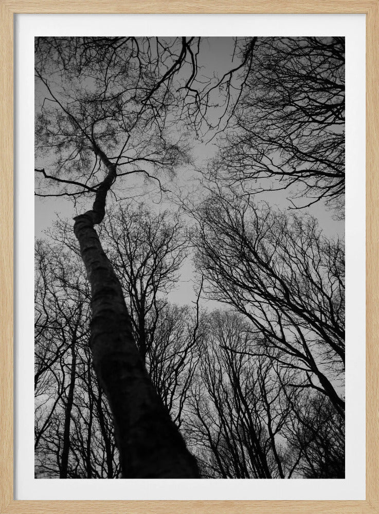 Winter's Reach | Poster