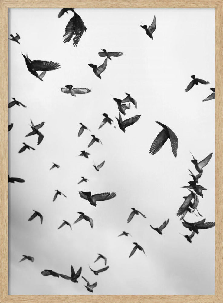 Skyward Symphony | Poster
