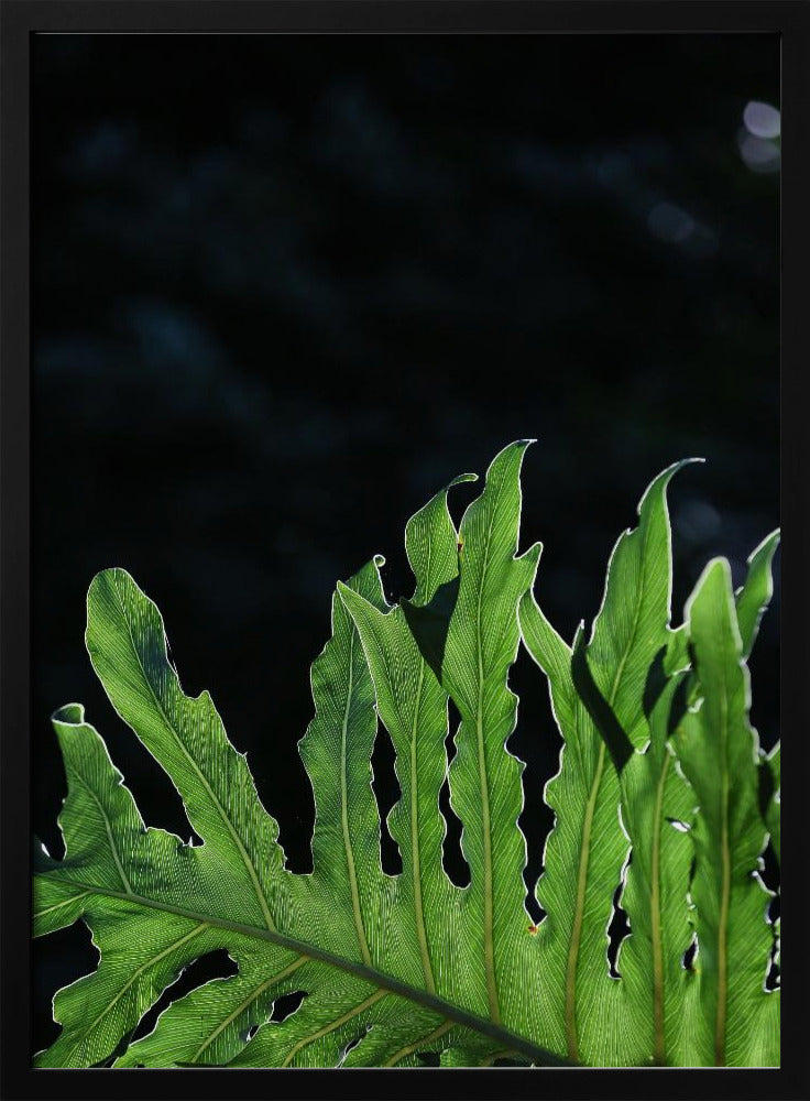 Smaragdgroene straling | Poster
