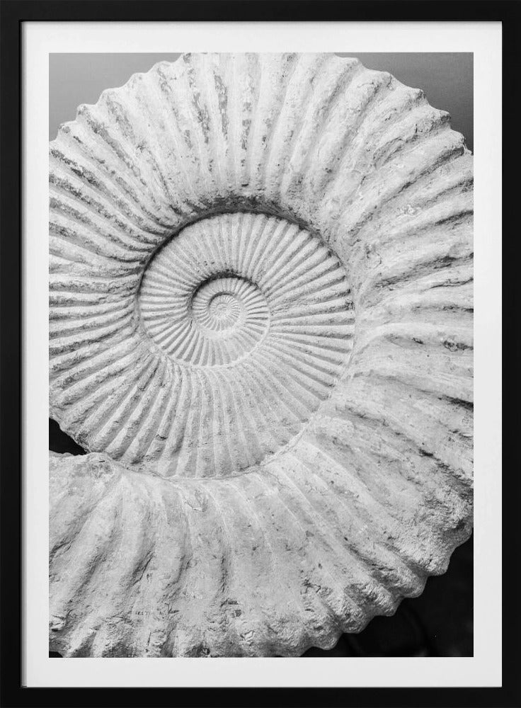 Ancient Spiral Dreams | Poster