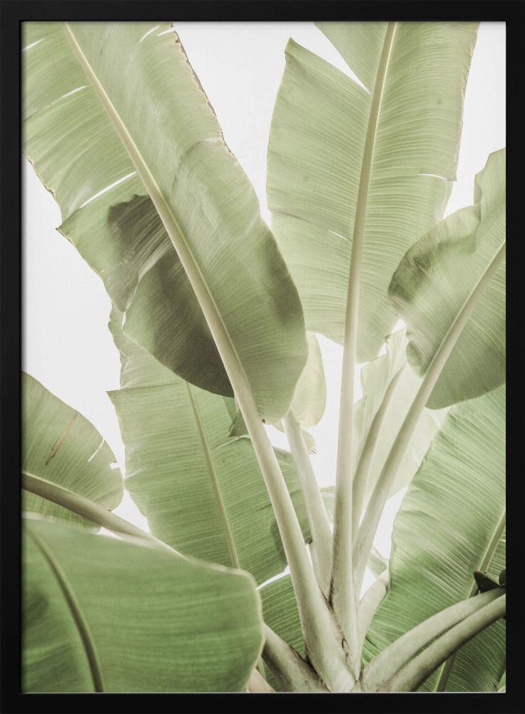 Groen bladlandschap | Poster
