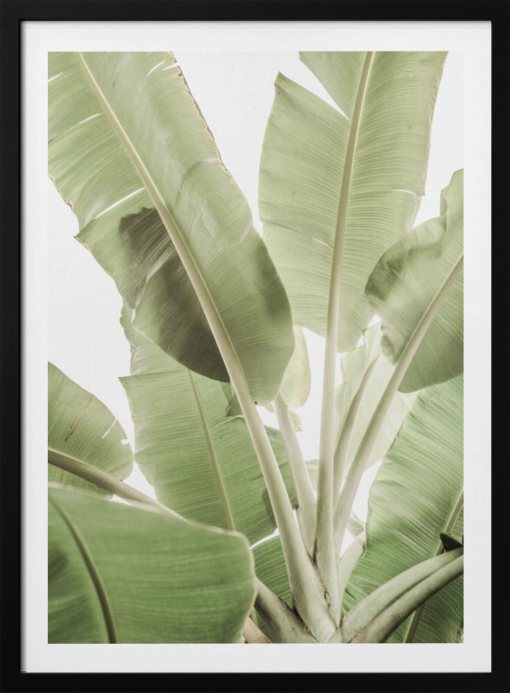 Groen bladlandschap | Poster