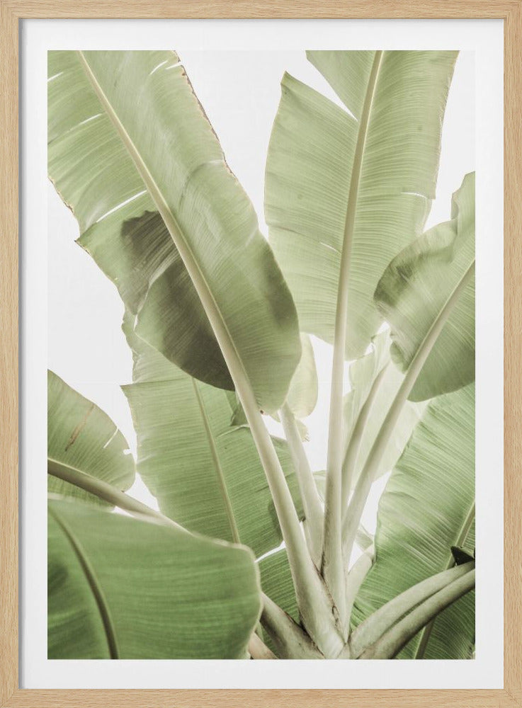 Groen bladlandschap | Poster