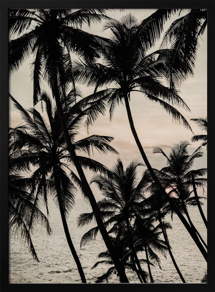 Silhouettes at Sunset | Poster