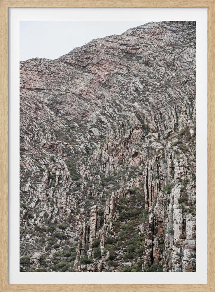 Gestructureerd aardlandschap | Poster