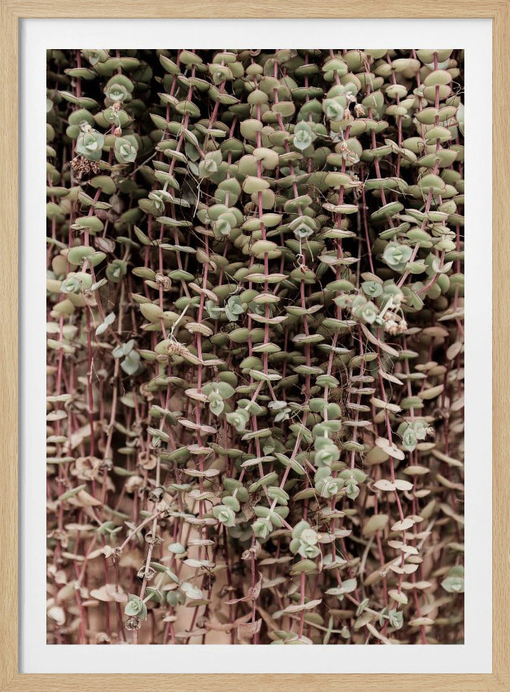 Sappige symfonie | Poster