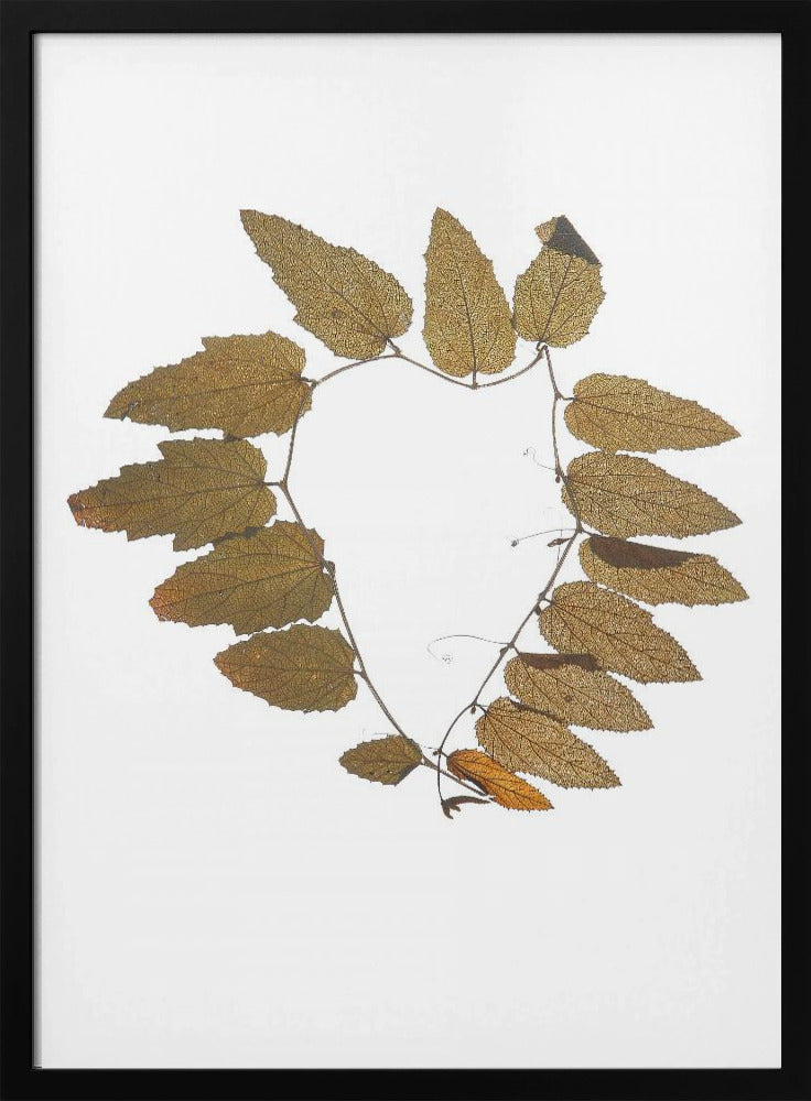 Leafy Embrace | Poster