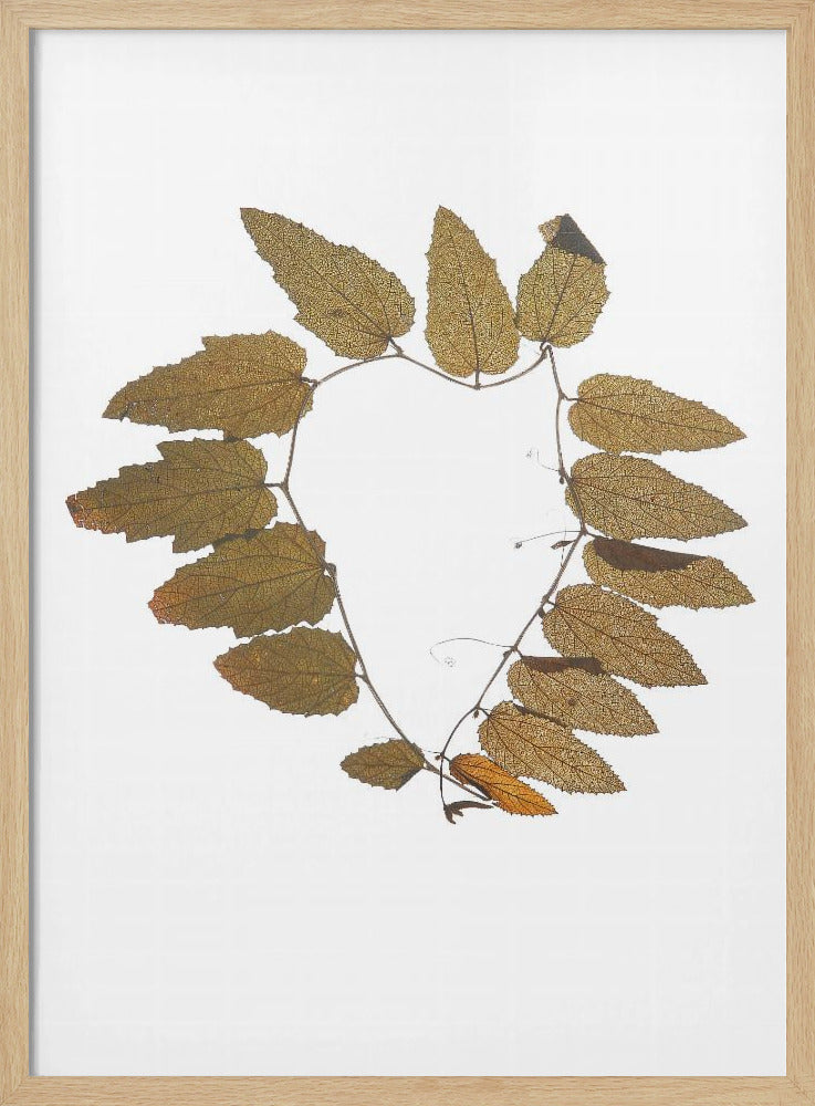 Leafy Embrace | Poster