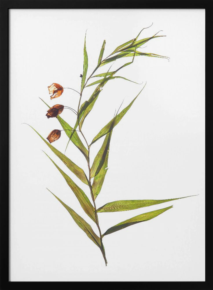 Fluisterende bladeren | Poster