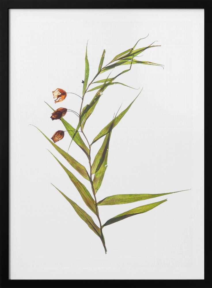Fluisterende bladeren | Poster