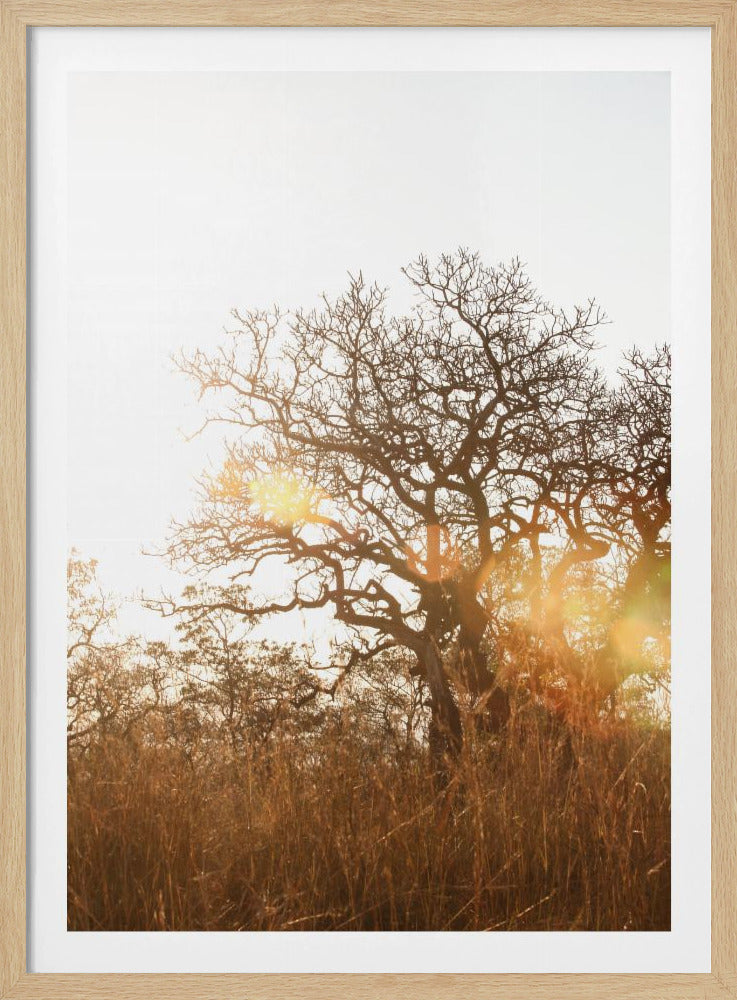 Zonovergoten silhouet | Poster