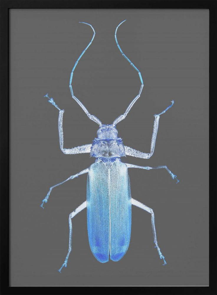 Neon Beetle Elegantie | Poster