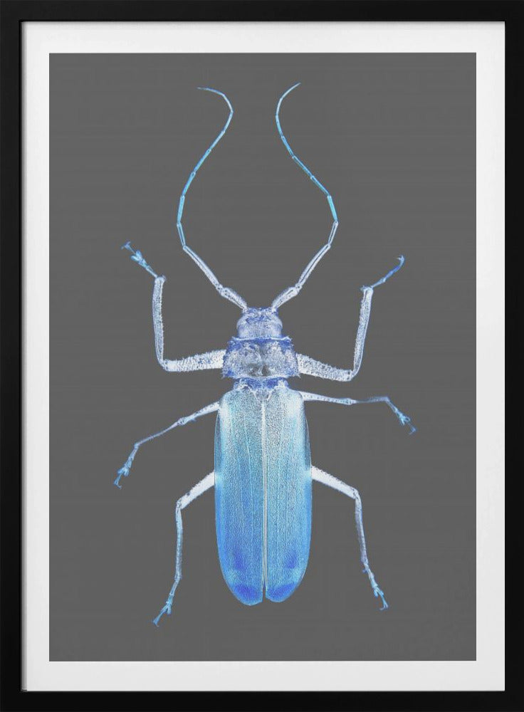 Neon Beetle Elegantie | Poster