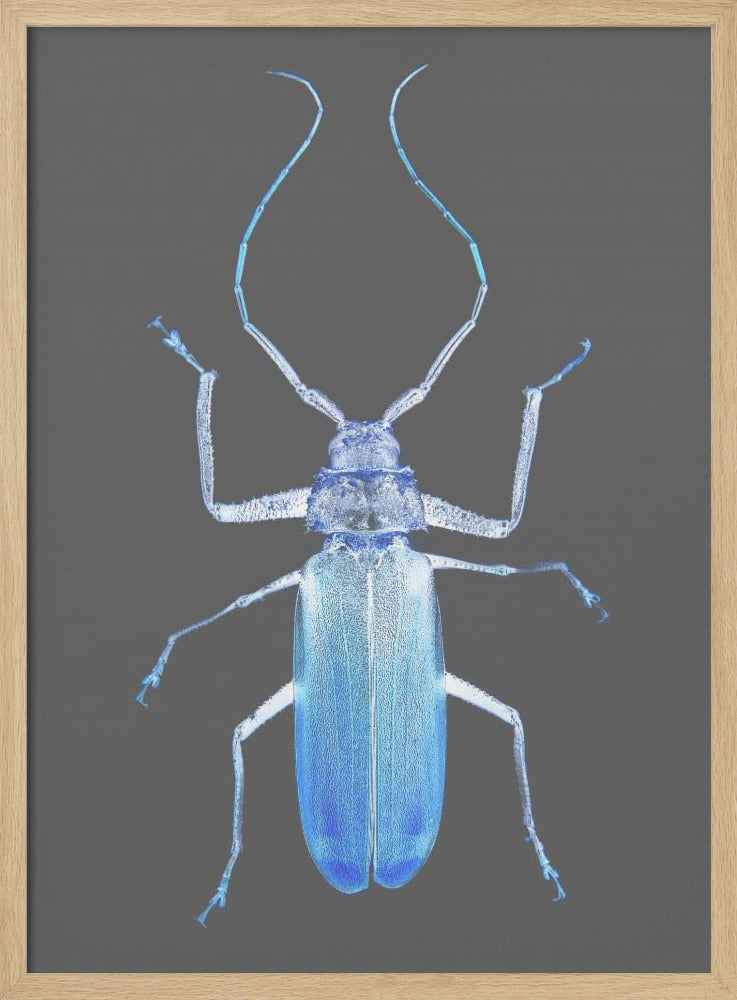 Neon Beetle Elegantie | Poster