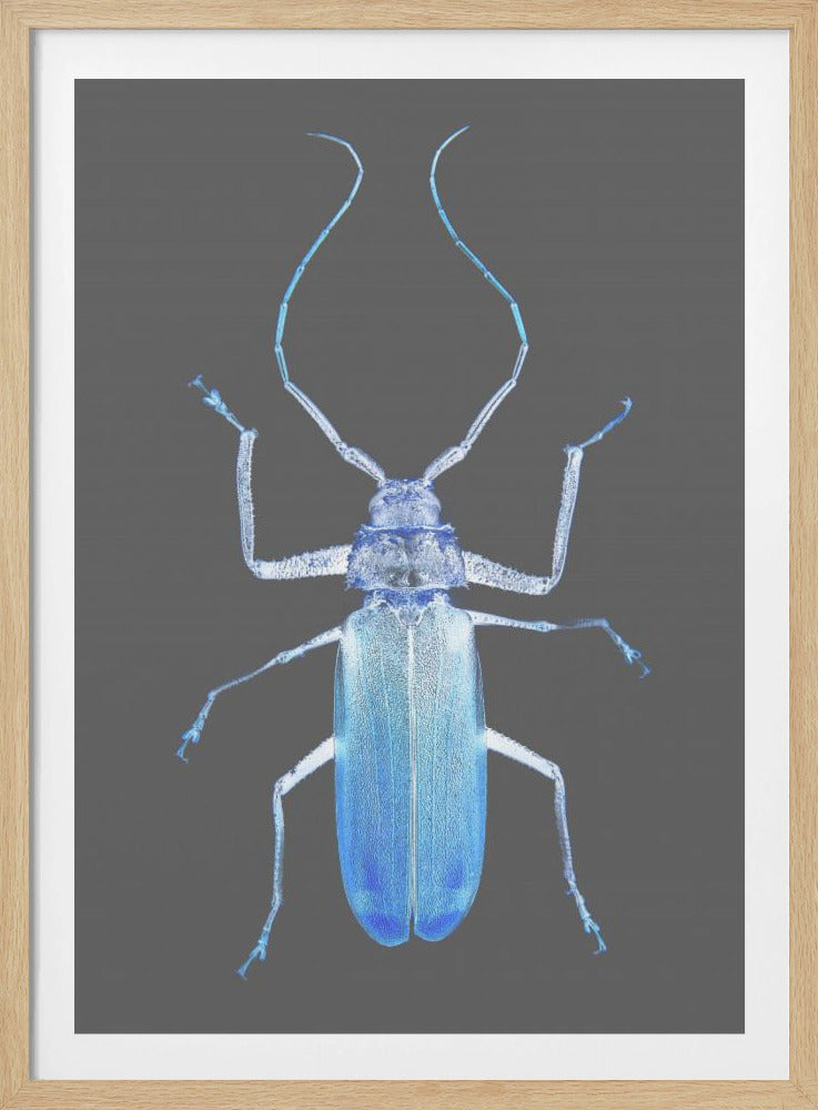 Neon Beetle Elegantie | Poster
