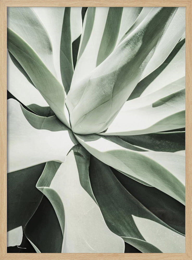 Sappige Harmonie | Poster