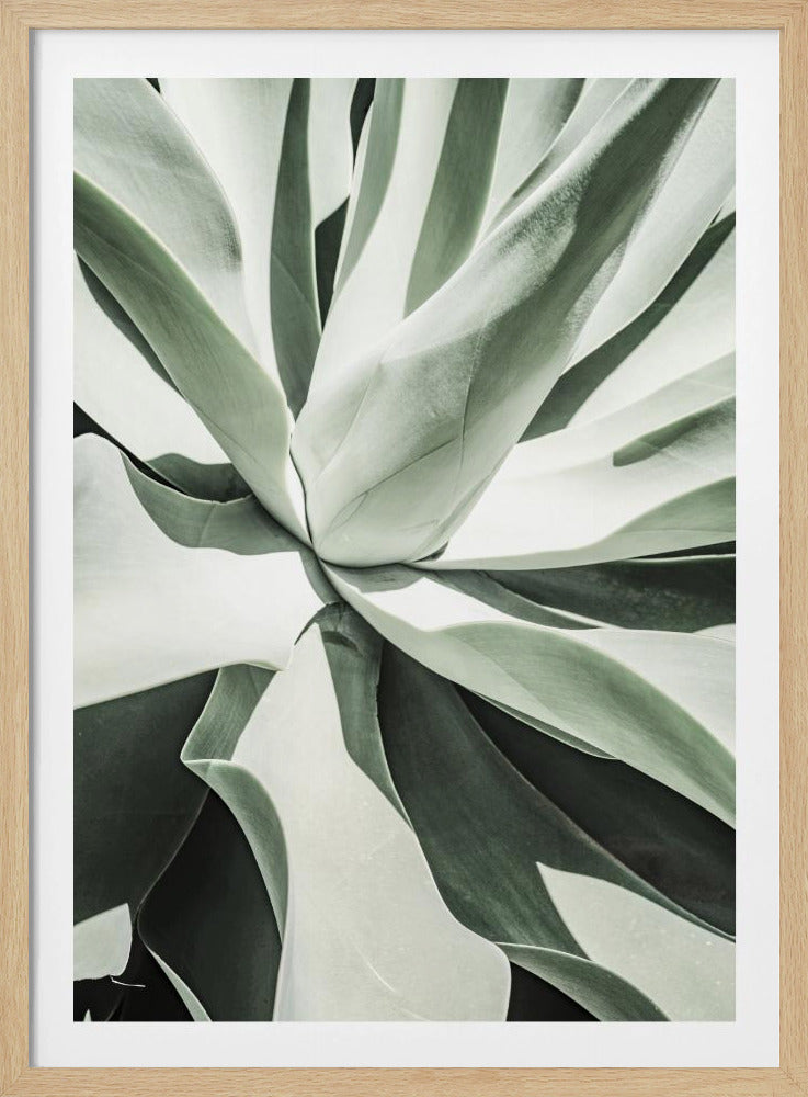 Sappige Harmonie | Poster