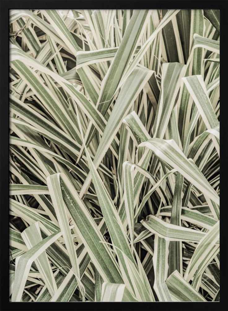 Groene Strepen | Poster