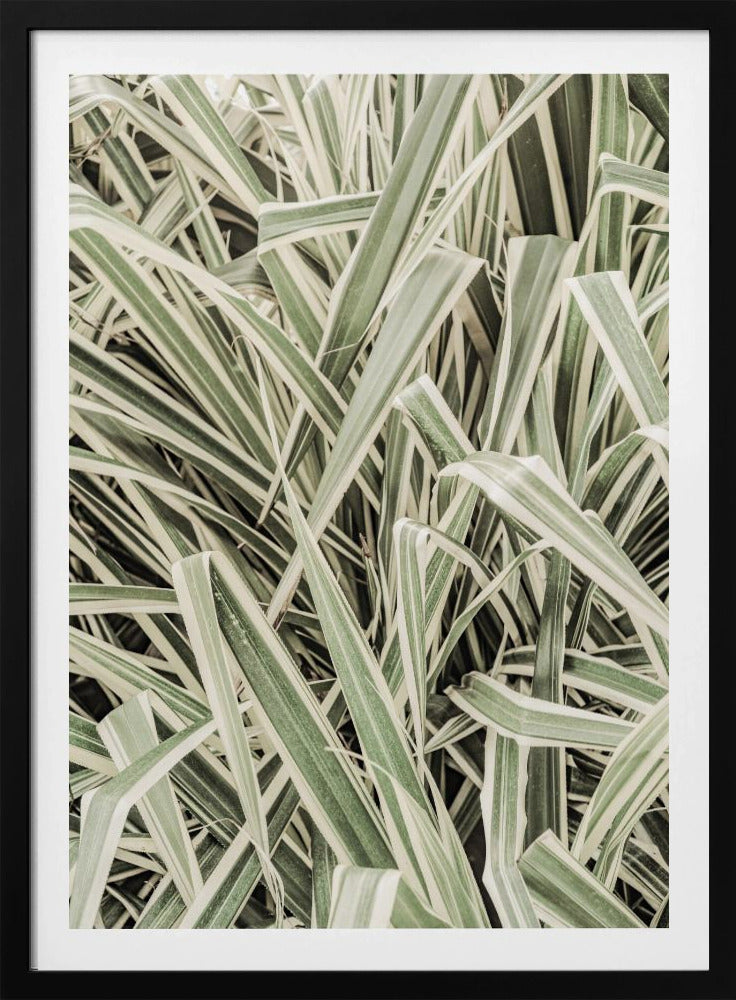 Groene Strepen | Poster