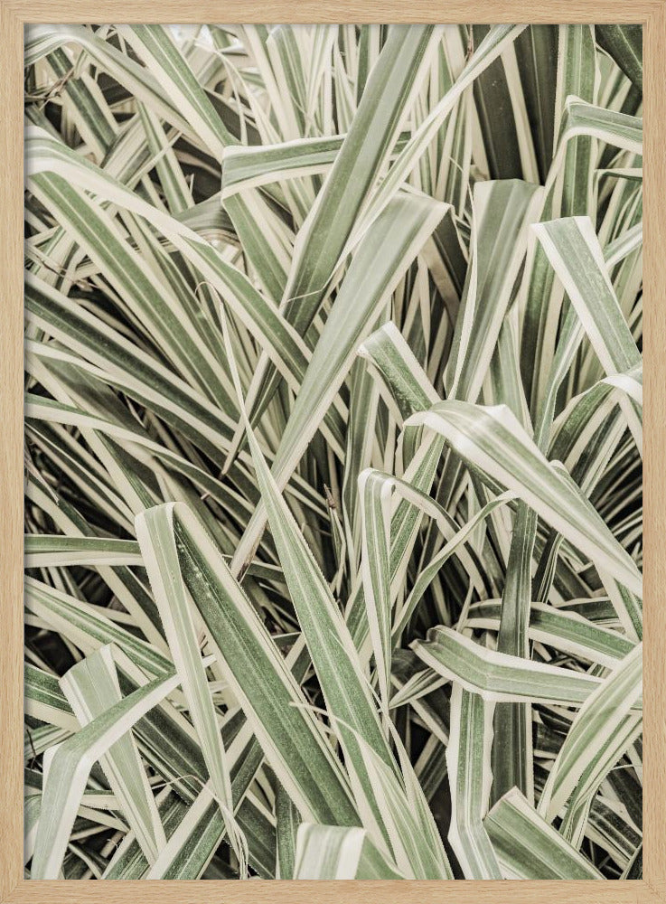 Groene Strepen | Poster