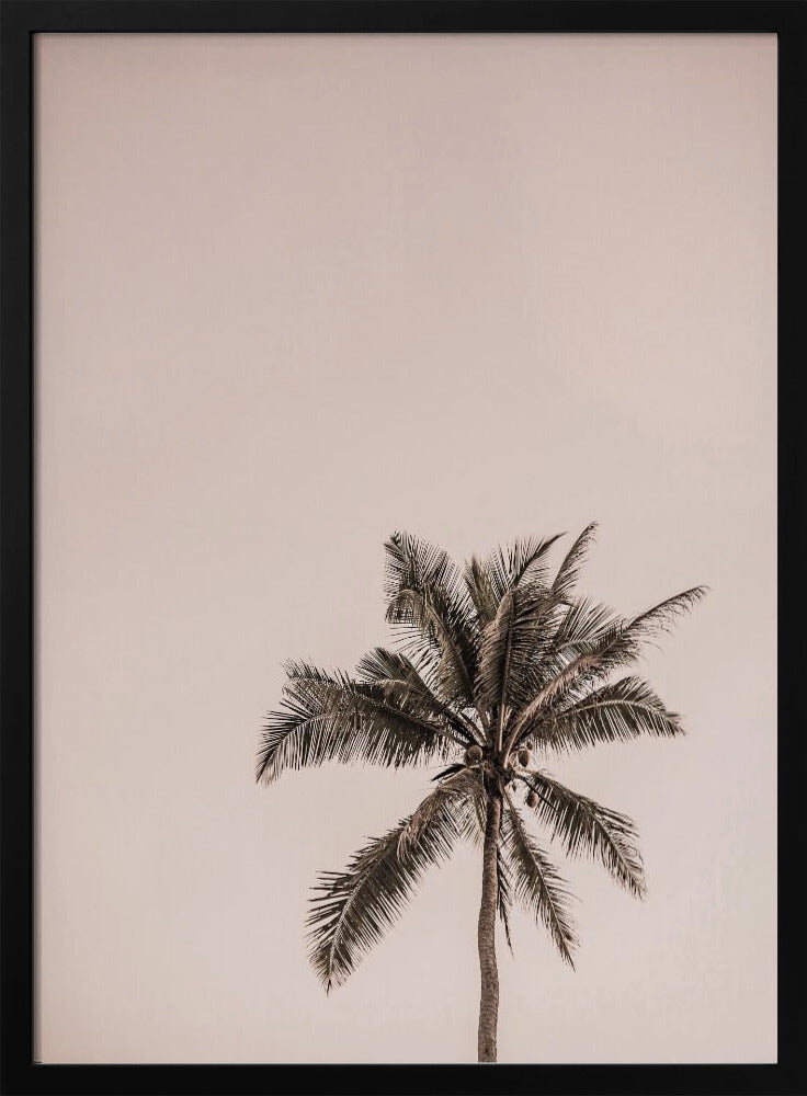 Roze Palm Serenity | Poster