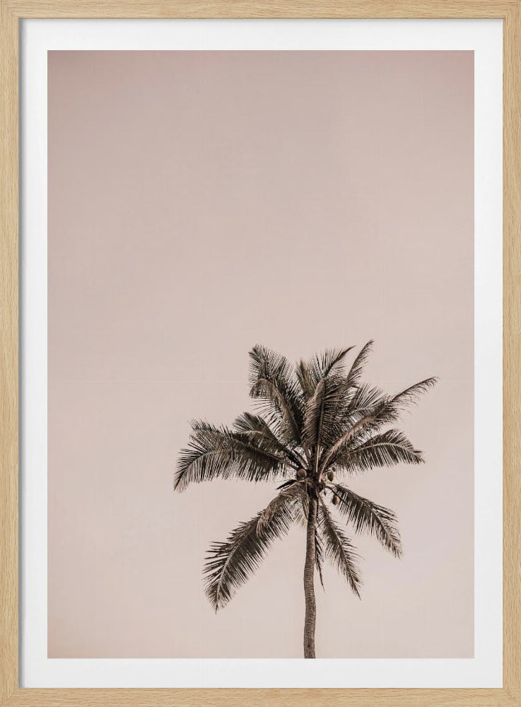 Roze Palm Serenity | Poster