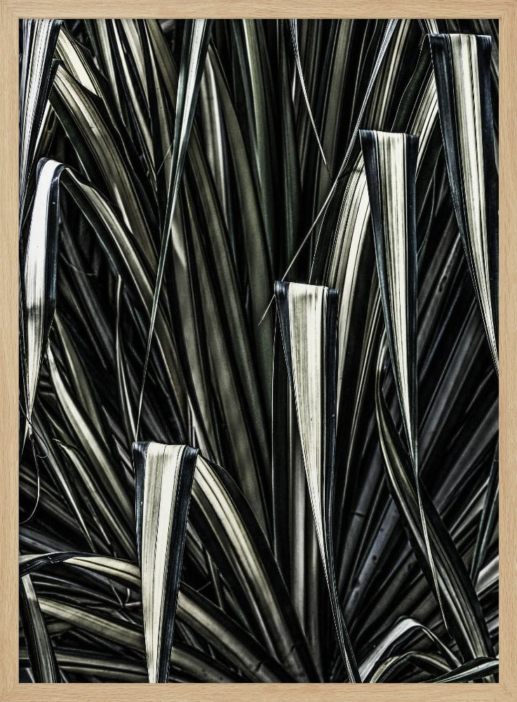 Groene Strepen | Poster
