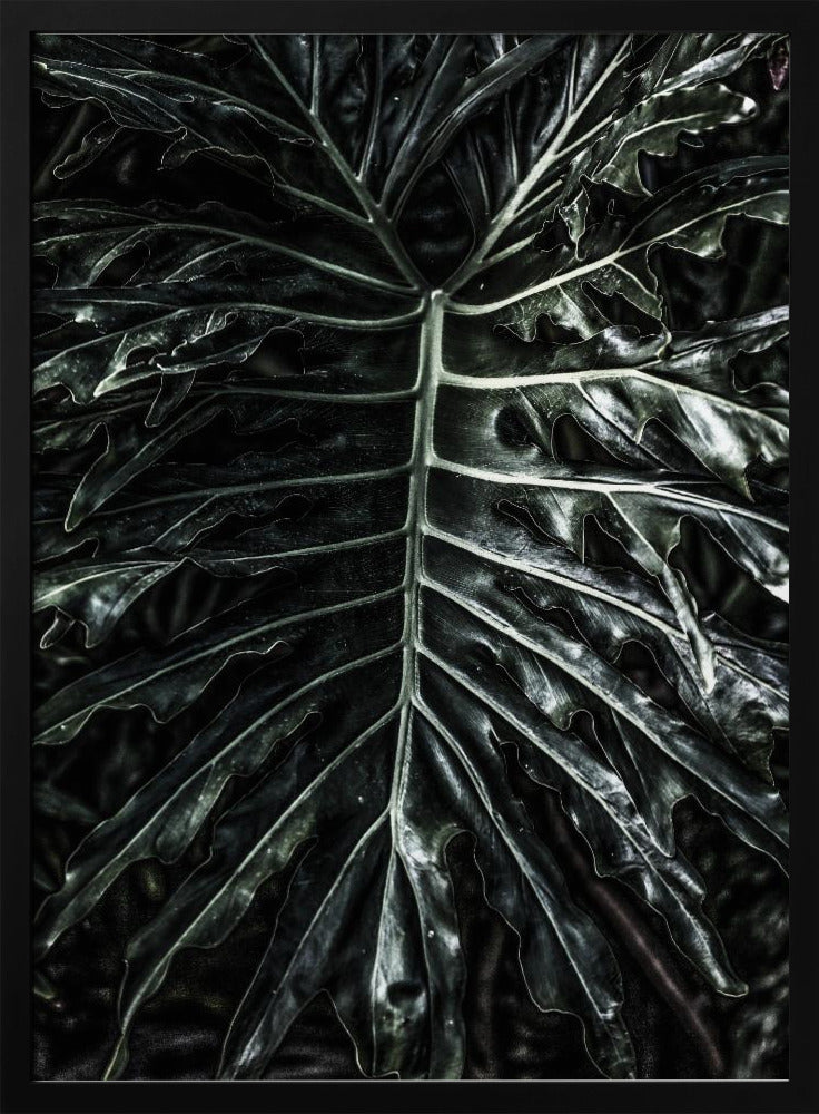 Donkere blad elegantie | Poster