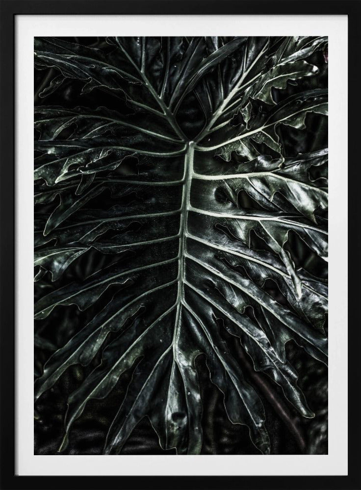 Donkere blad elegantie | Poster