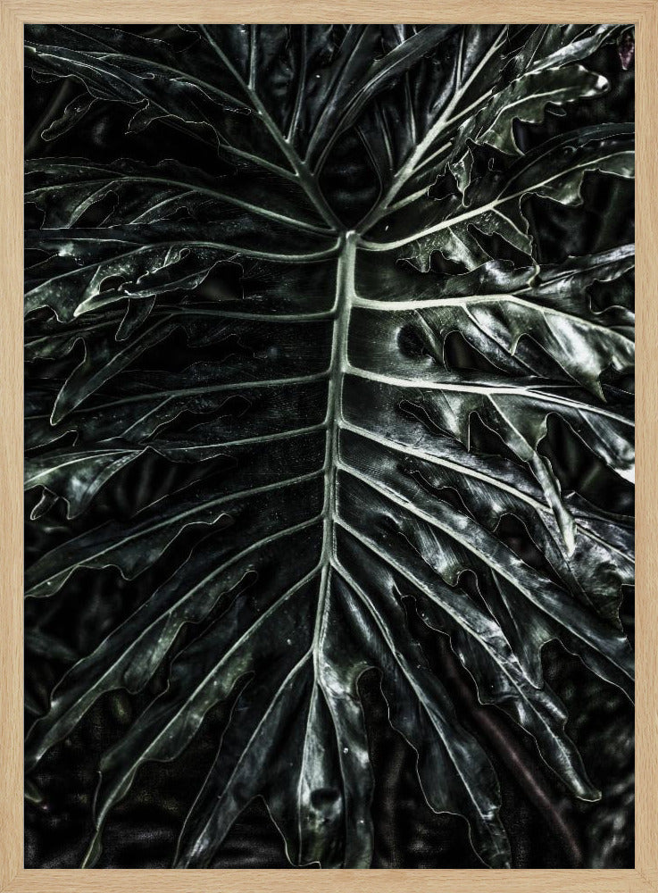 Donkere blad elegantie | Poster
