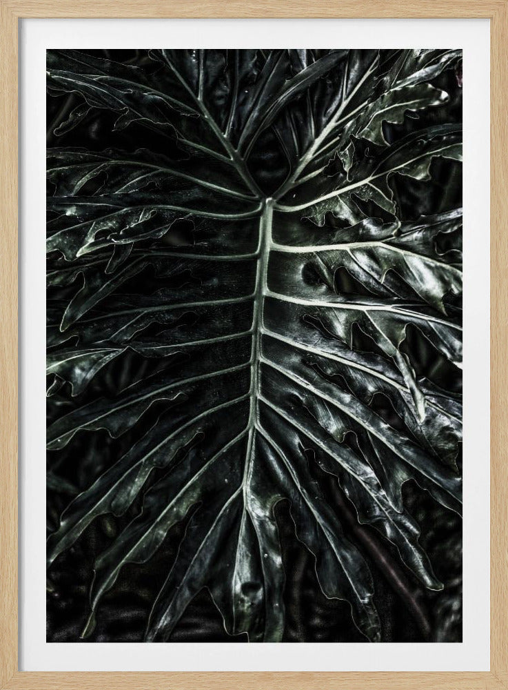 Donkere blad elegantie | Poster