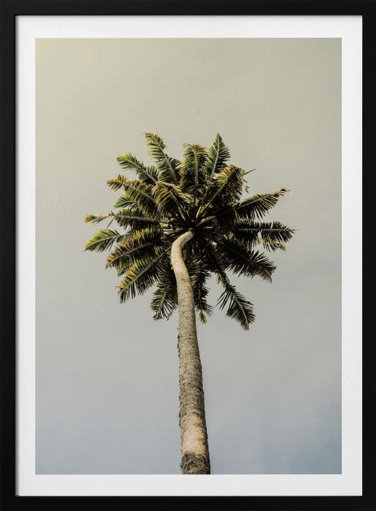 Torenhoge Palm Bliss | Poster