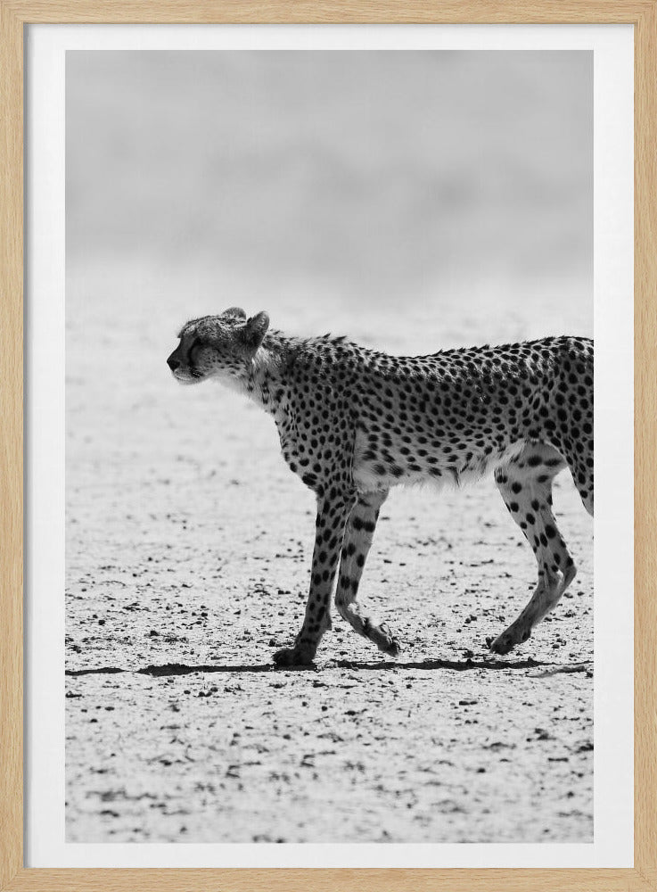 Cheetah's Stride | Poster