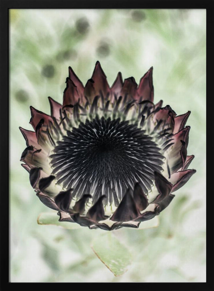 Mystieke Bloei | Poster