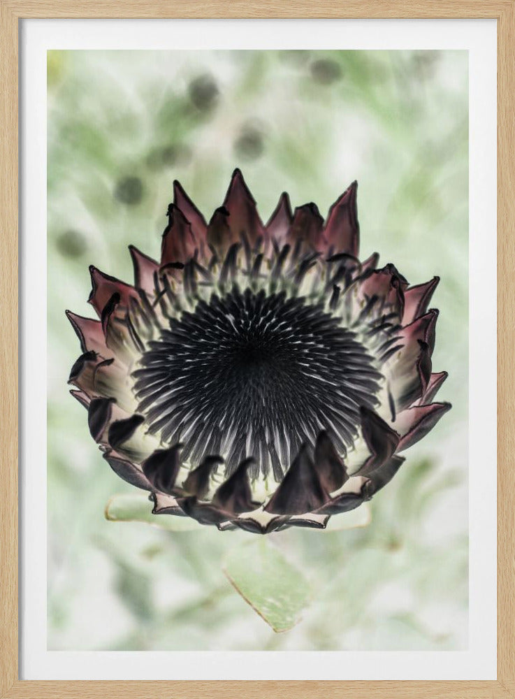 Mystieke Bloei | Poster