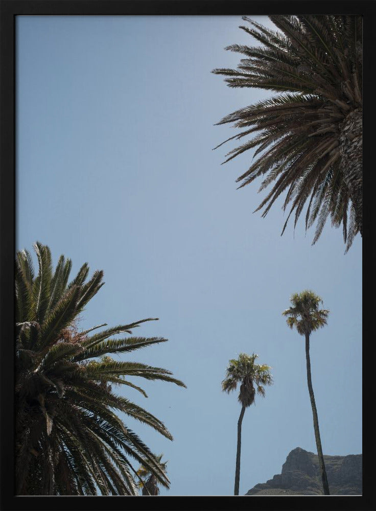 Zonnig Palm Heights | Poster
