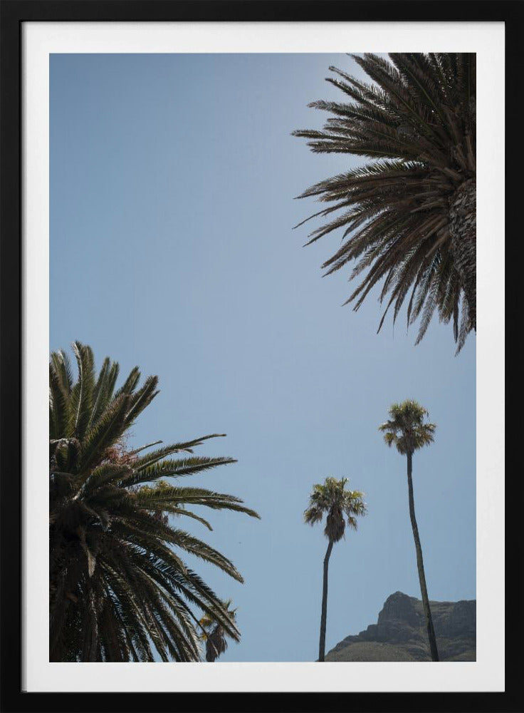 Zonnig Palm Heights | Poster