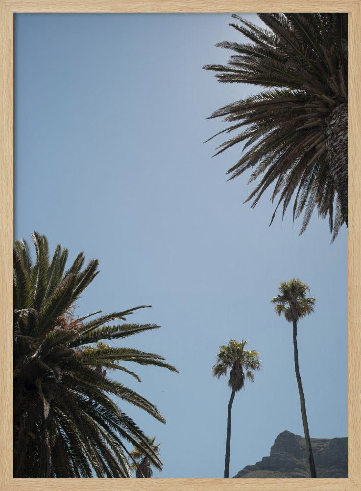 Zonnig Palm Heights | Poster