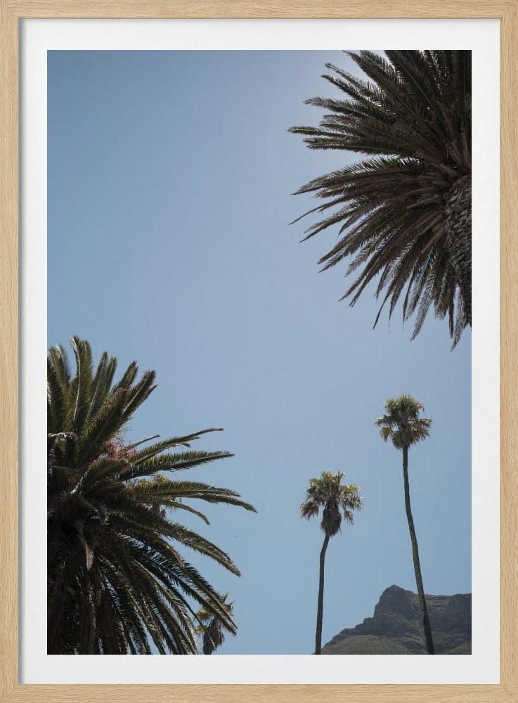 Zonnig Palm Heights | Poster