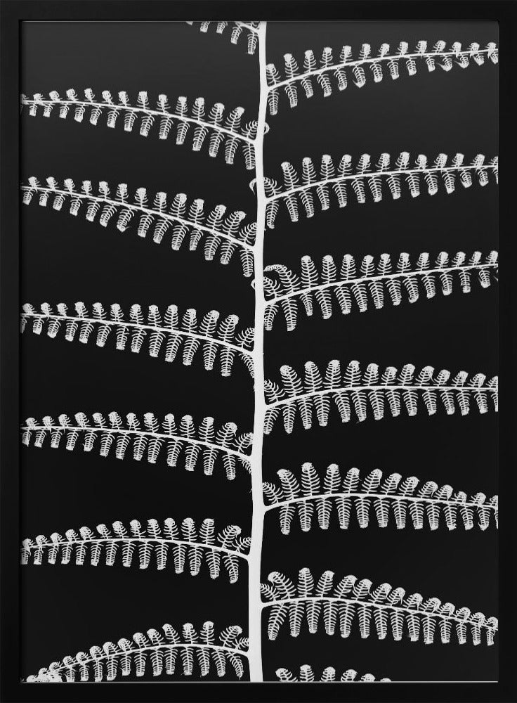 Fern Symphony | Poster