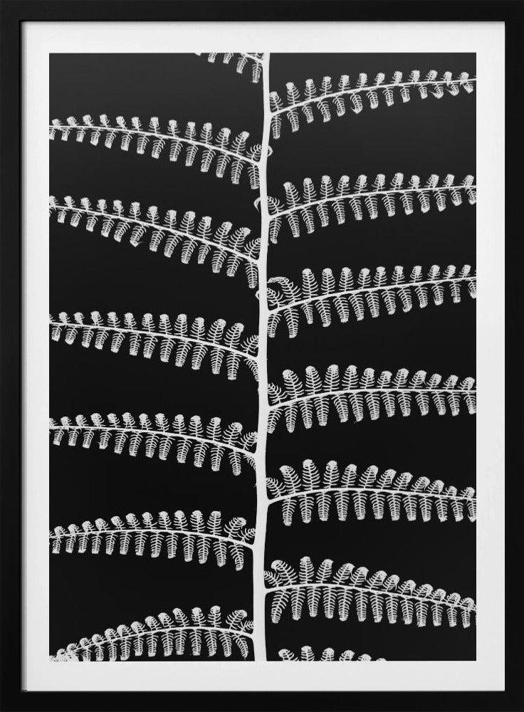 Fern Symphony | Poster