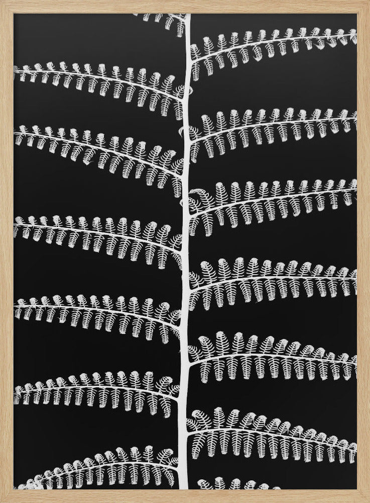 Fern Symphony | Poster