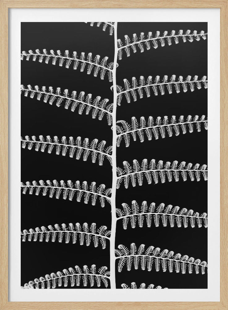 Fern Symphony | Poster