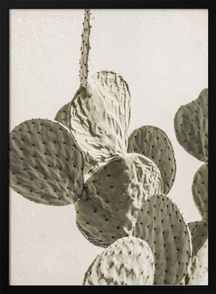 Prickly Elegance | Poster