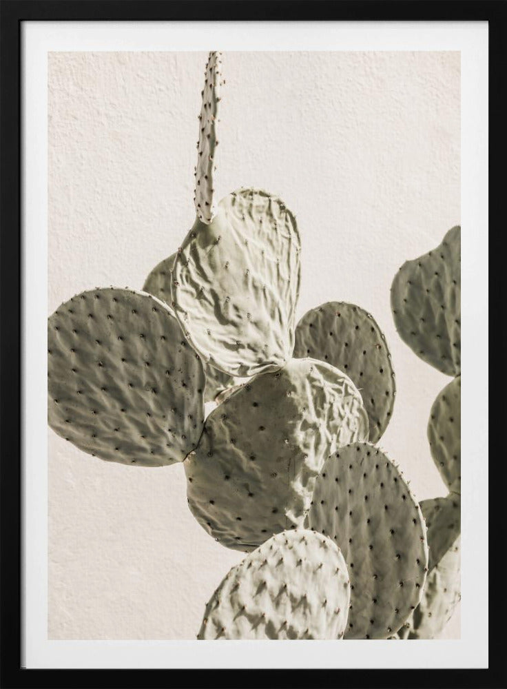 Prickly Elegance | Poster