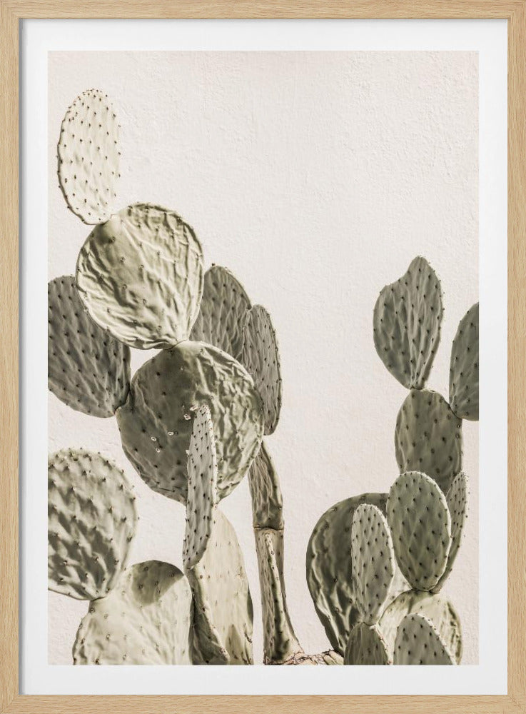 Cactus Serenity | Poster