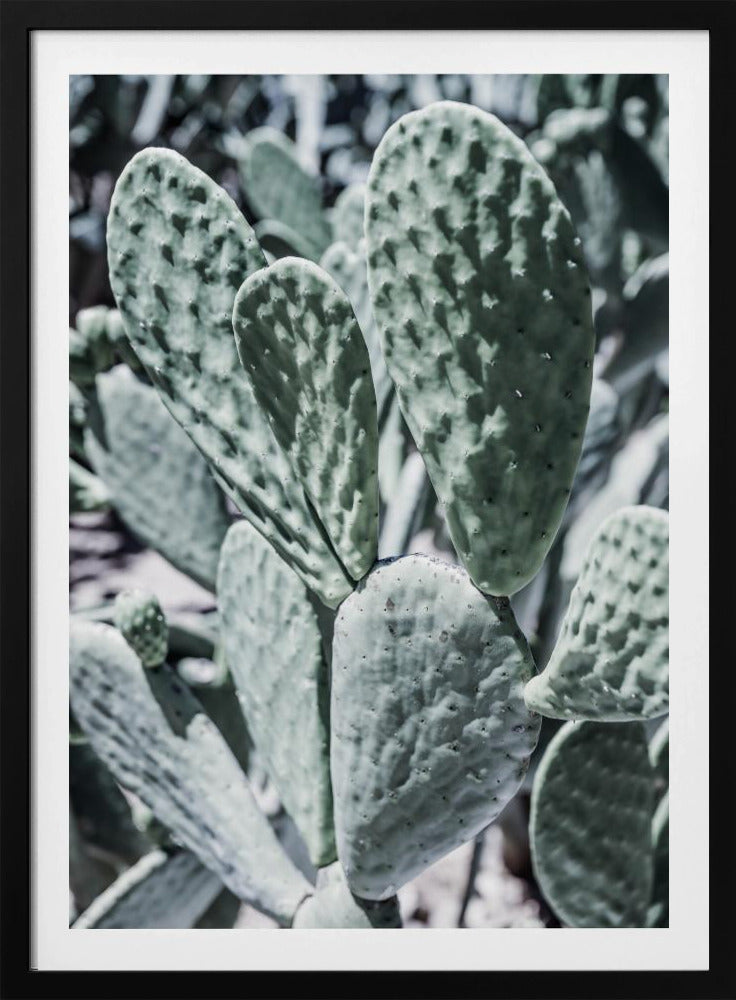 Desert Serenity | Poster