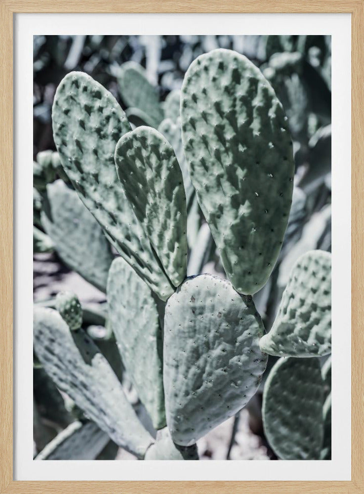 Desert Serenity | Poster