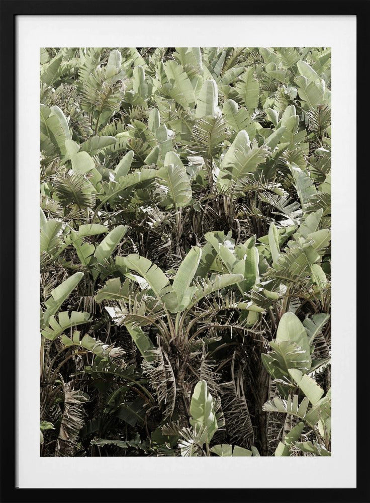 Verdant Canopy | Poster